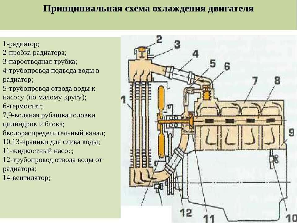 Схема системы охлаждения двигателя. принцип дейстивя и устройство системы охлаждения двигателя