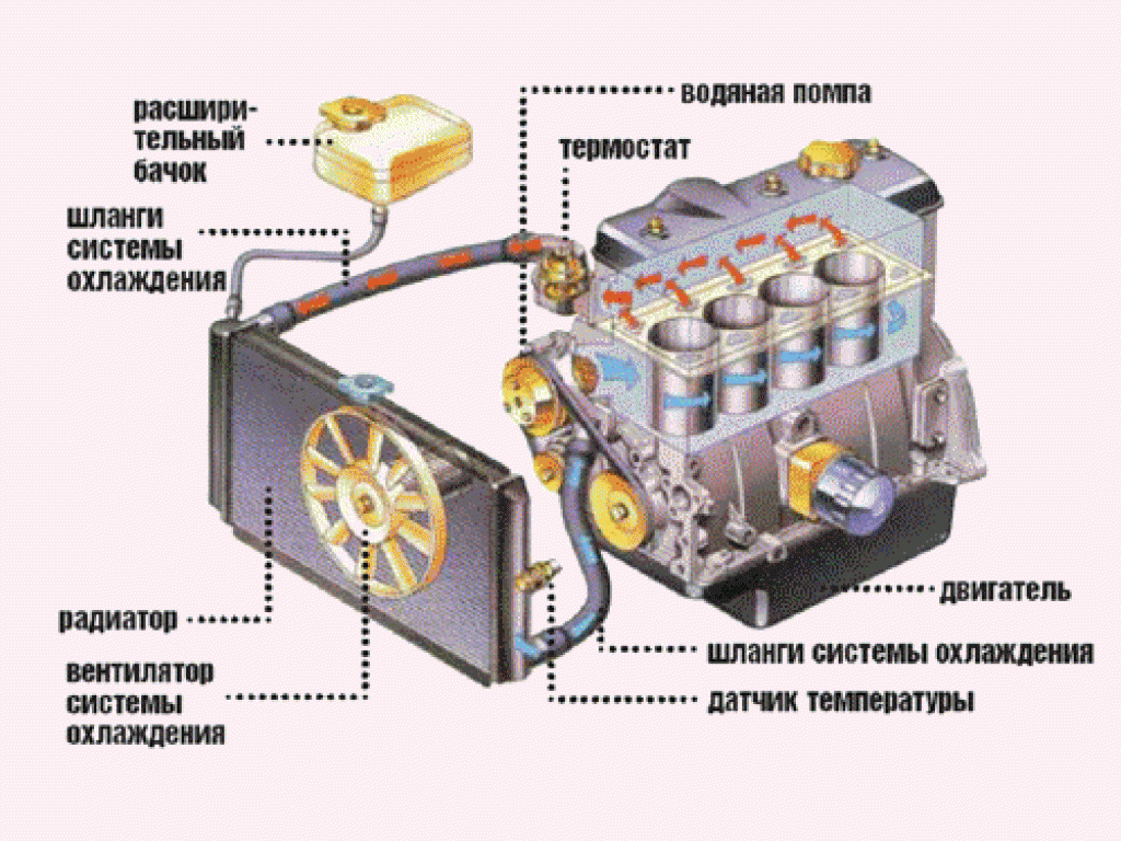 Устройство и принцип работы системы охлаждения двигателя