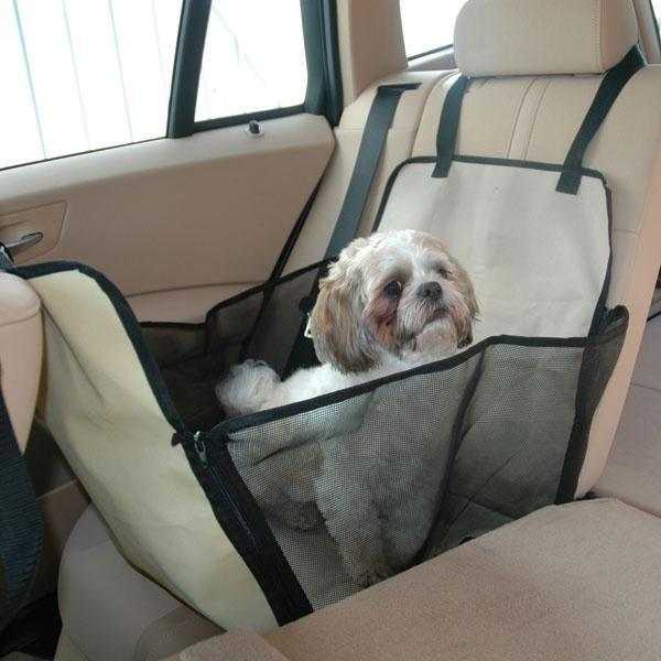 Есть ли штраф за неправильную перевозку животных в машине?