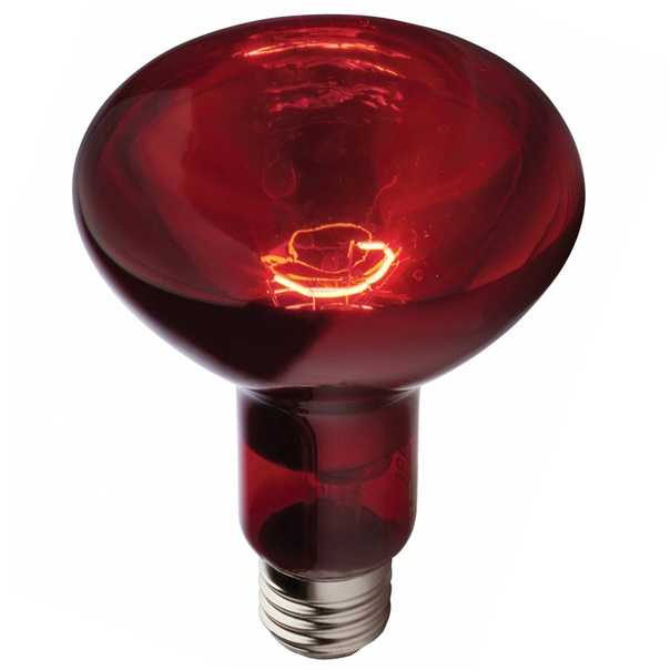 Инфракрасные лампы для обогрева: устройство и разновидности, применение