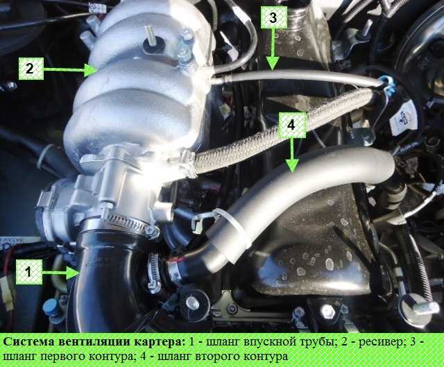 Вентиляции картера двигателя - устройство и принцип работы клапана